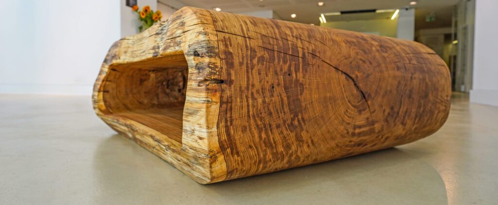 A hollowed live-edge oak coffee table in a soft S-shape, displayed on a gallery floor under spotlights.