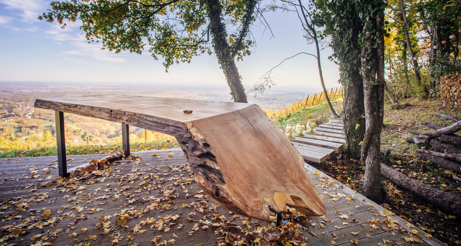 Olea live edge sculptural wooden table placed in forest with panoramic view