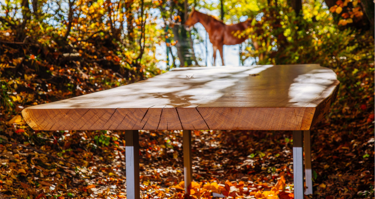 Sorrel live edge dining table with metal base in autumn forest setting