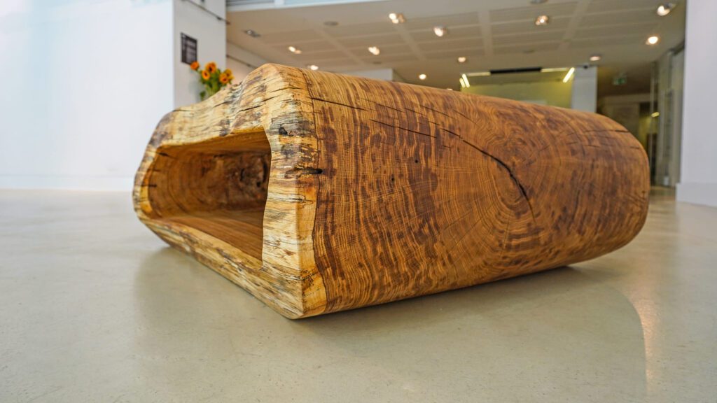 Low-profile view of OZE live-edge wooden coffee table with visible end grain and integrated shelf in gallery